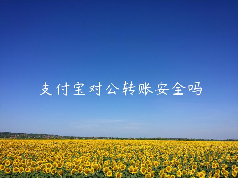 支付寶對公轉(zhuǎn)賬安全嗎